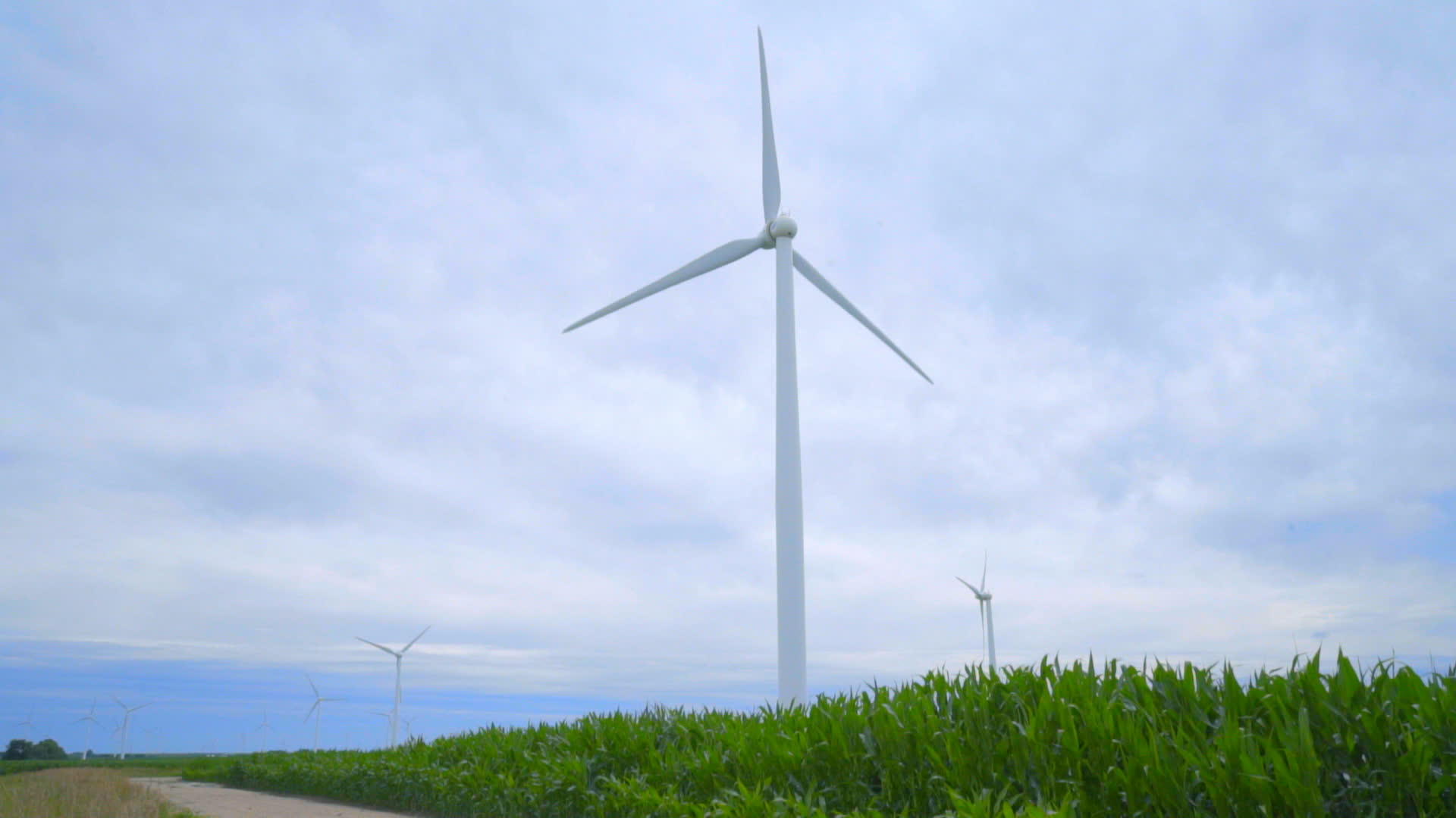 绿地上的风力涡轮机视频的预览图