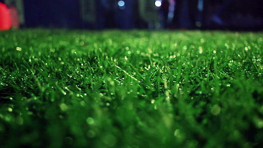 足球场的草坪视频的预览图