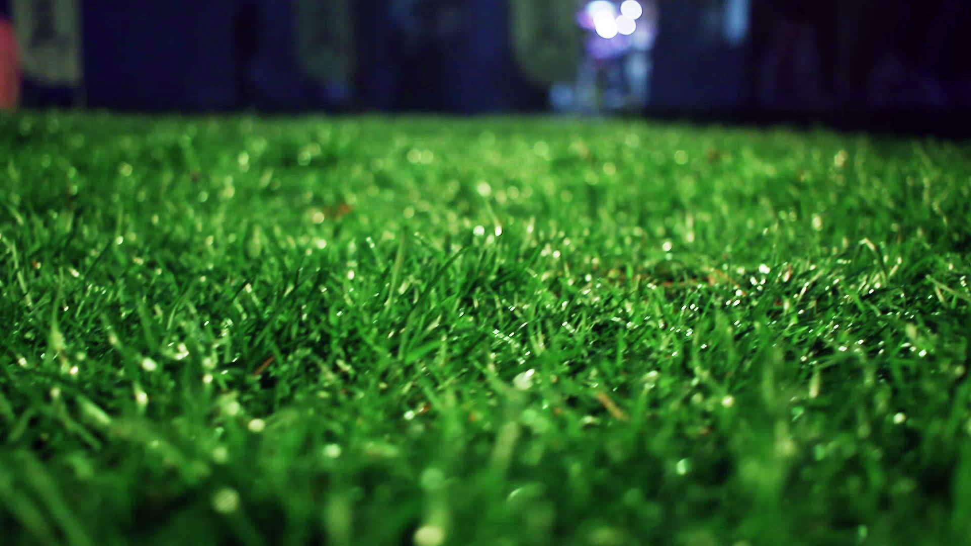 足球场上的草坪视频的预览图