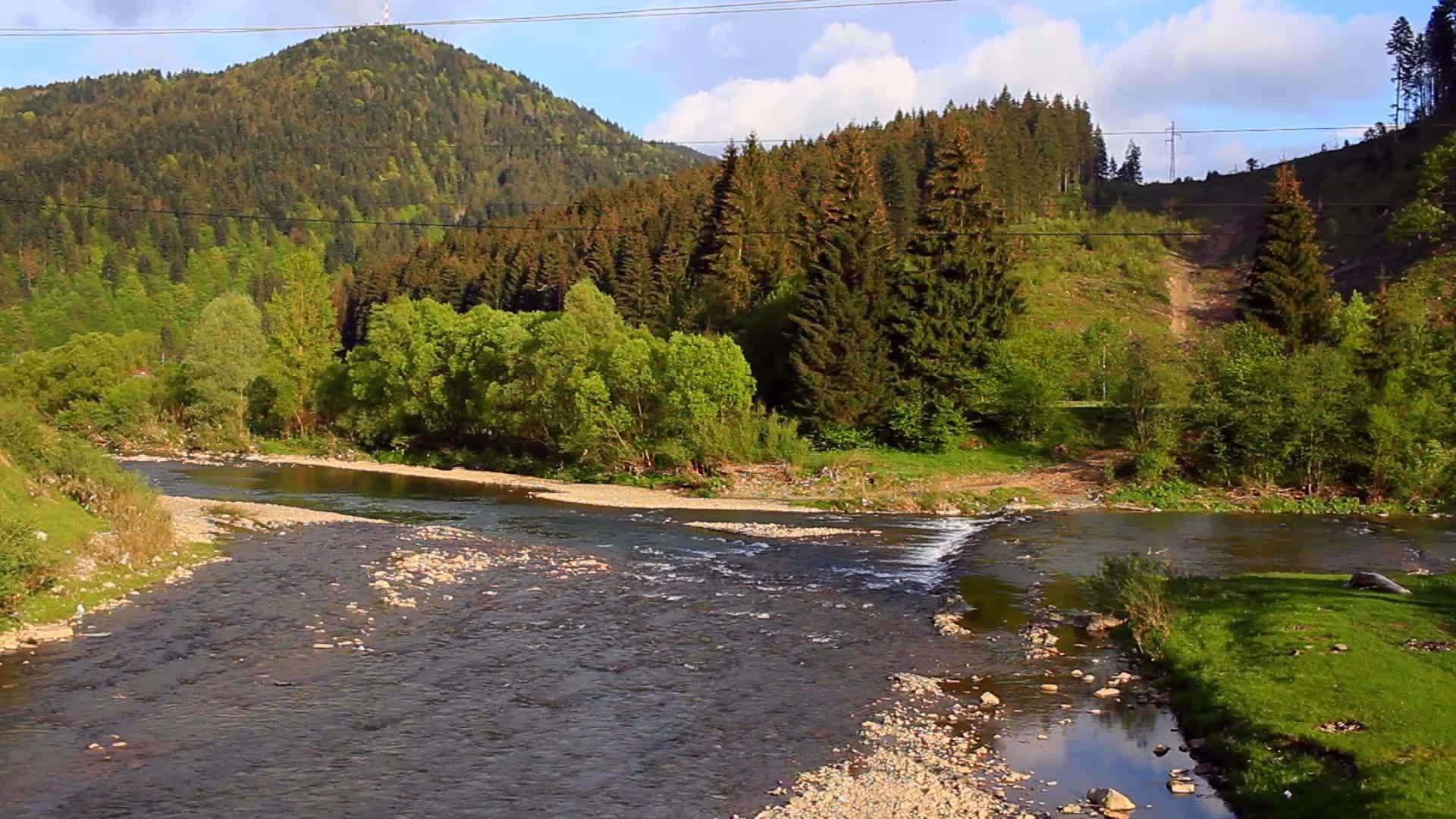 河流在森林中流动视频的预览图