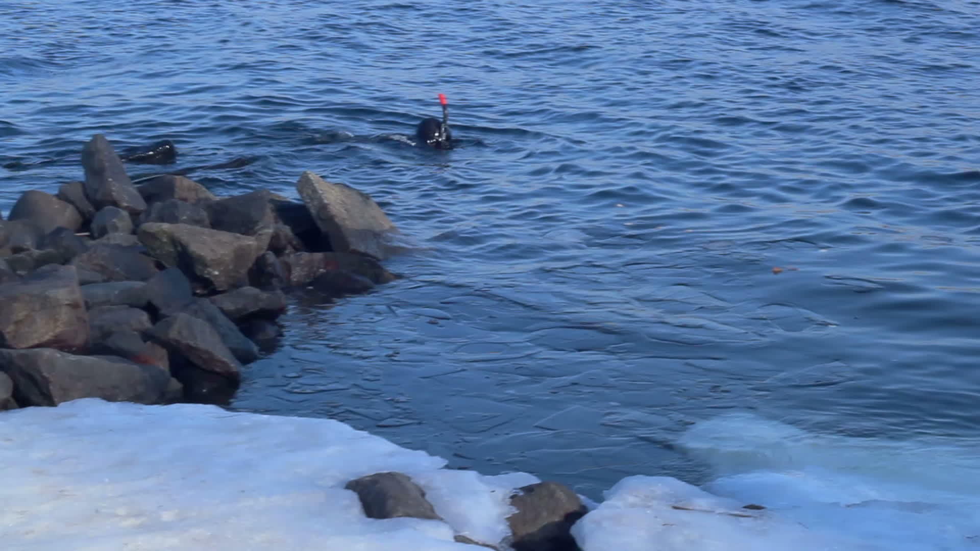 冬天寒冷的湖泊视频的预览图