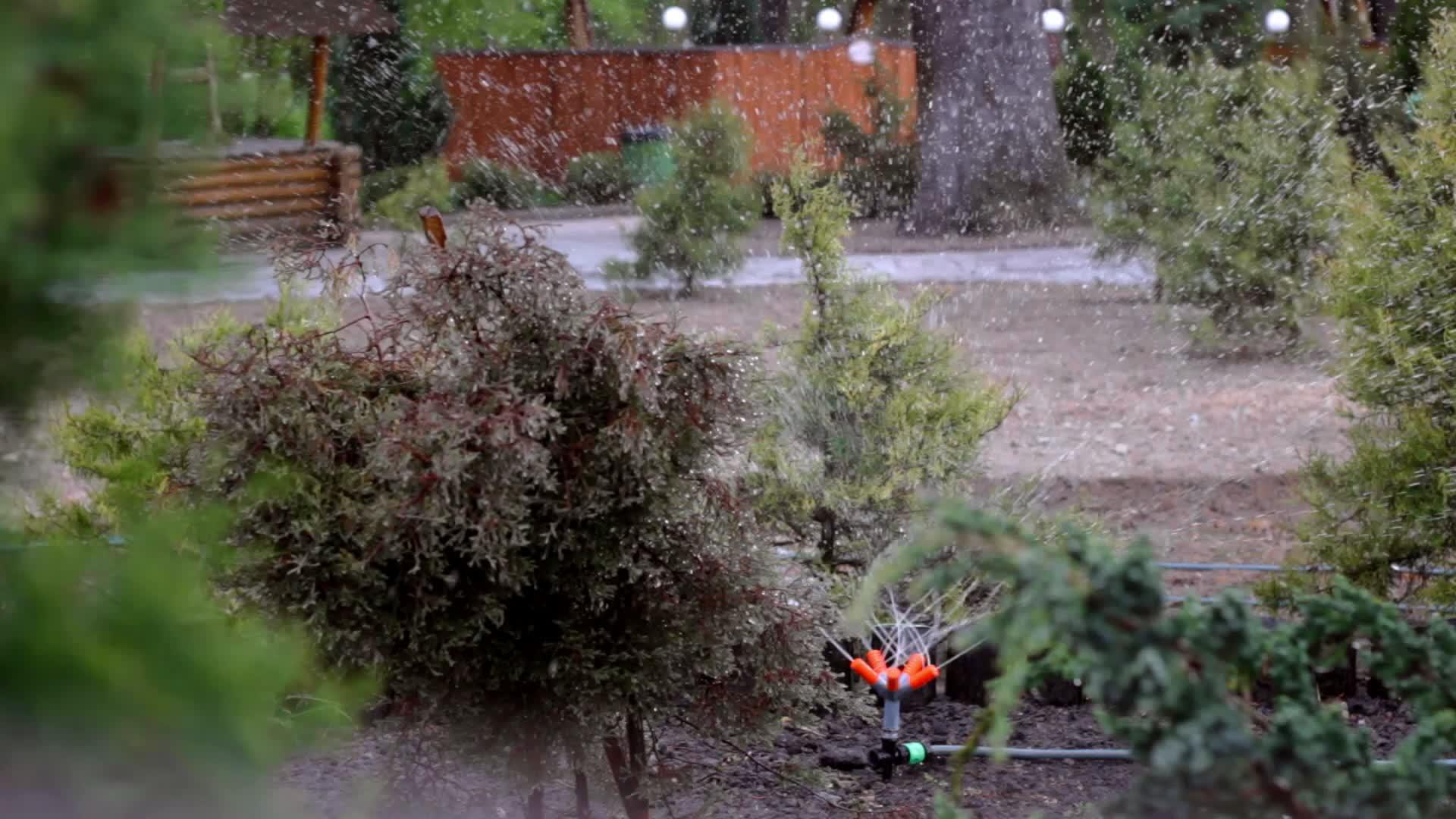 公园内的浇灌装置视频的预览图