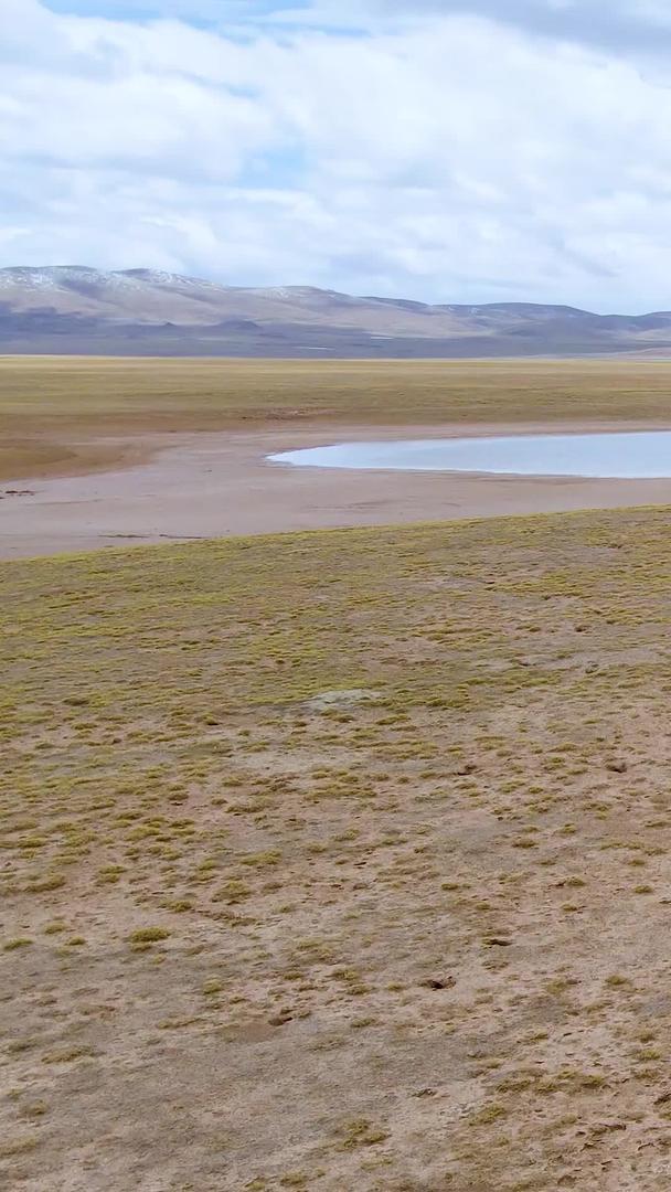可可西里无人区藏野驴航拍视频视频的预览图