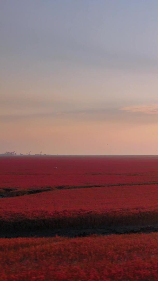 红海滩国家风景廊道夕阳夕阳视频的预览图