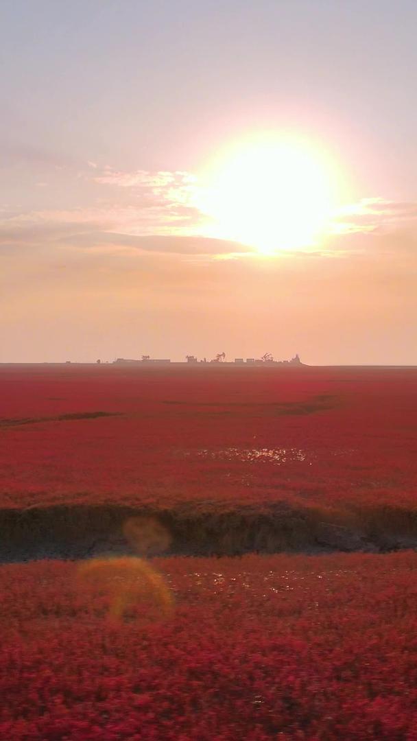 红海滩国家风景廊道夕阳夕阳视频的预览图