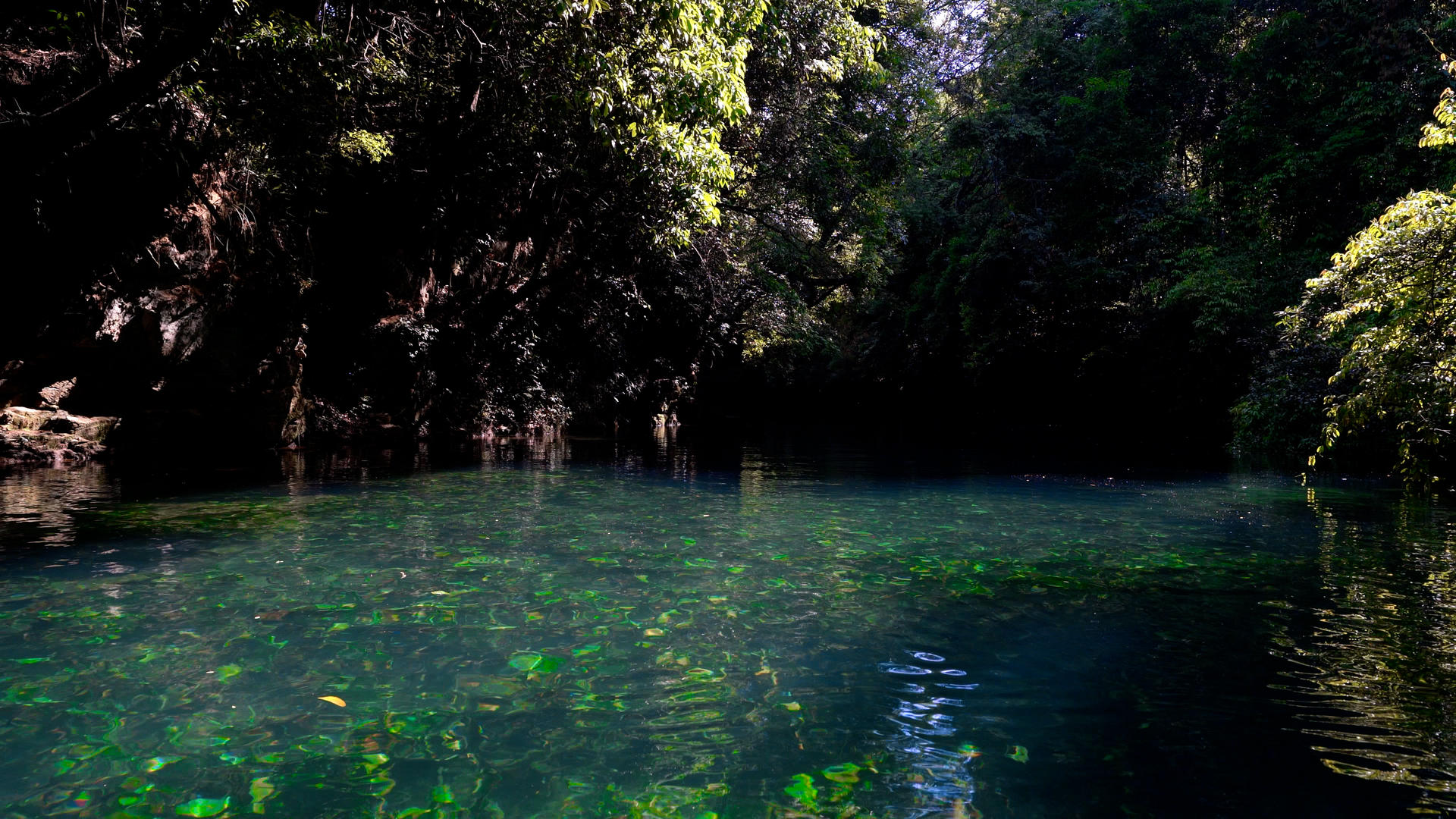 4K实拍唯美贵州5A景区小七孔绿水自然视频的预览图