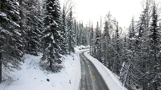 冬日雪地汽车白桦林公路视频的预览图