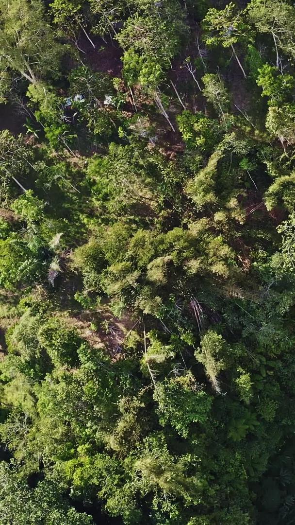 瀑布在巴厘岛山涧里视频的预览图