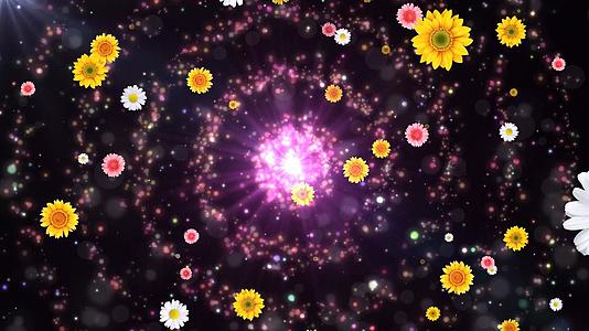 动态唯美大气粒子光效花朵背景视频元素视频的预览图