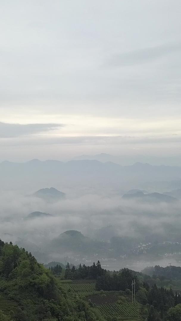 贵州湄潭自然风光视频的预览图