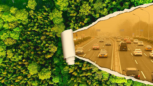 森林世界环境日背景视频视频的预览图