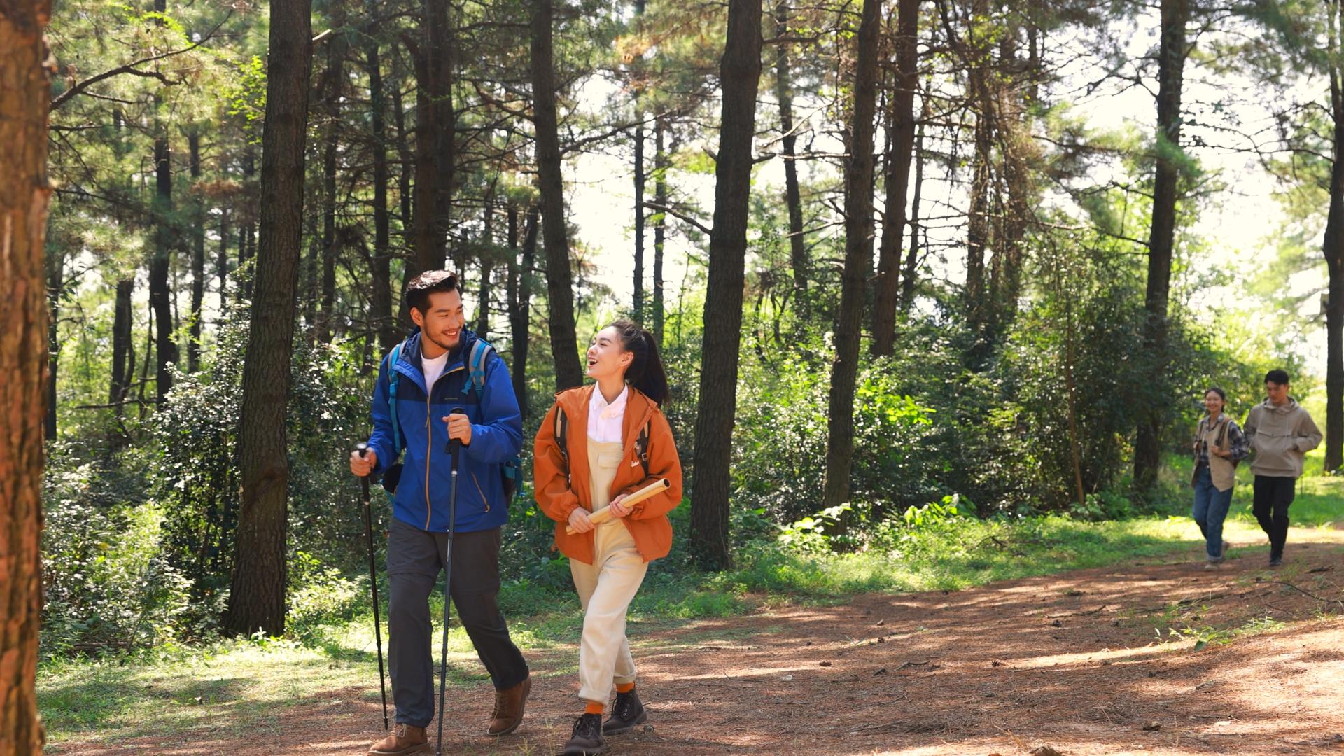 青年四人在森林里徒步远足视频的预览图