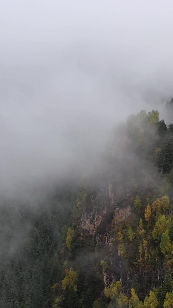 秋天自然风光山谷中的云雾航拍视频视频的预览图