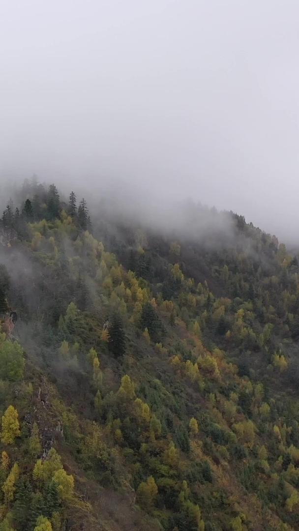秋天自然风光山谷中的云雾航拍视频视频的预览图