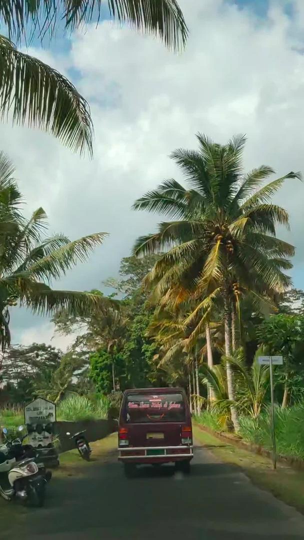 印尼小镇椰林小道行车视角视频的预览图