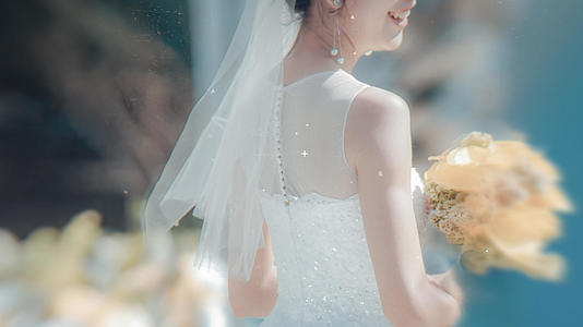 纪念婚纱照AE模板视频的预览图