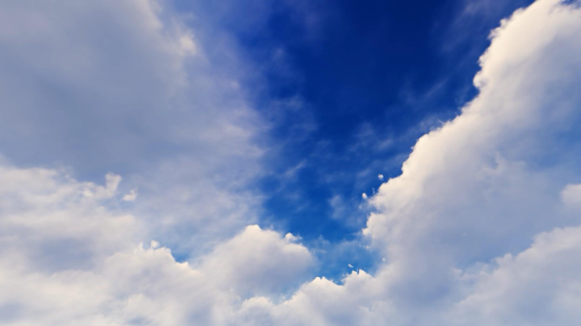蓝天白云唯美花海自然风景视频的预览图