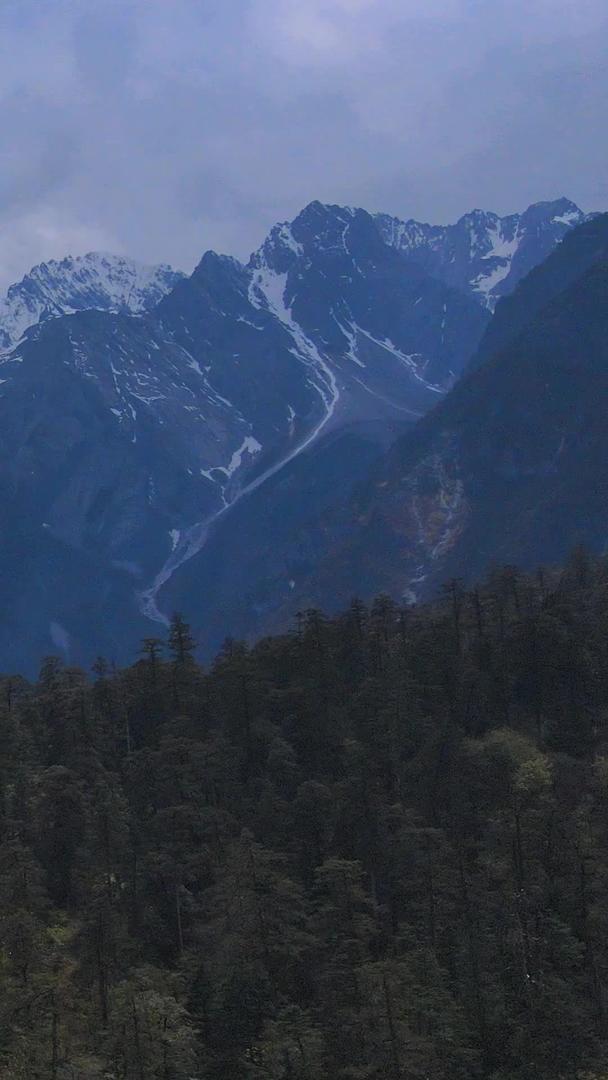 森林高山草甸雪山高原航拍视频的预览图