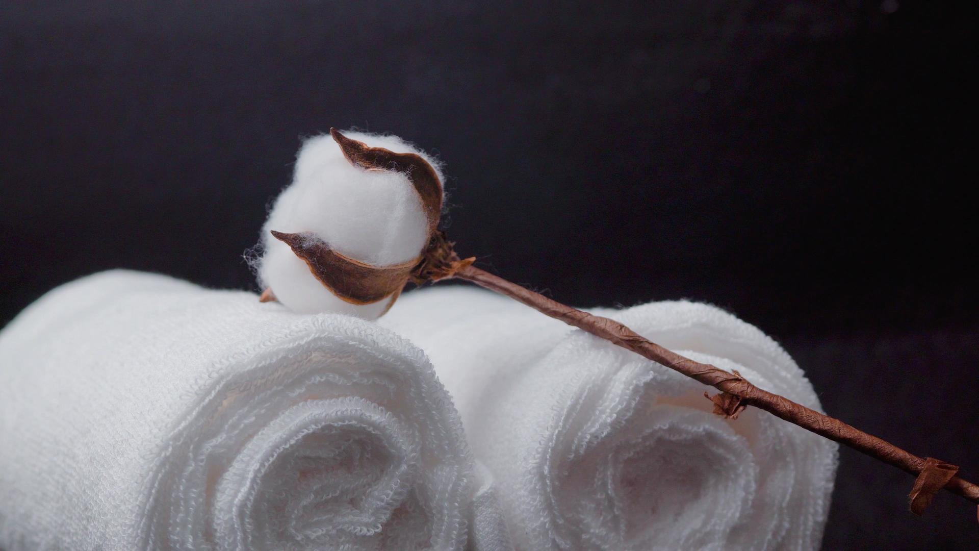 优质新疆长绒棉花视频的预览图