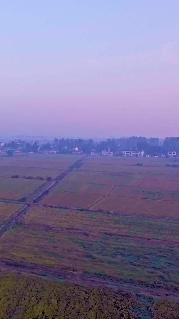 乡村田野天际线视频的预览图