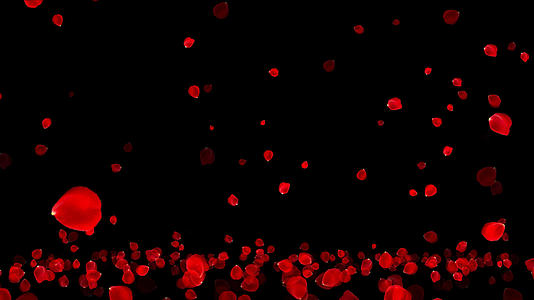 4K浪漫爱情玫瑰花瓣飘落动画元素带通道视频的预览图