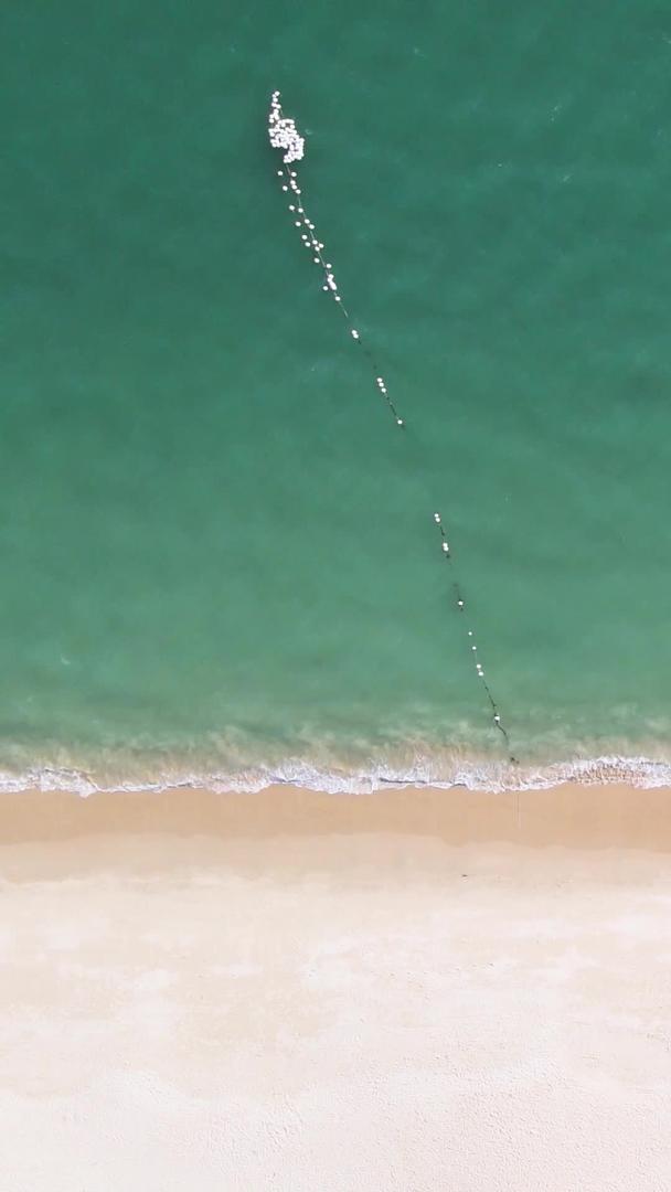 海边度假海滩上的航拍自然风光休闲疗养人群视频的预览图