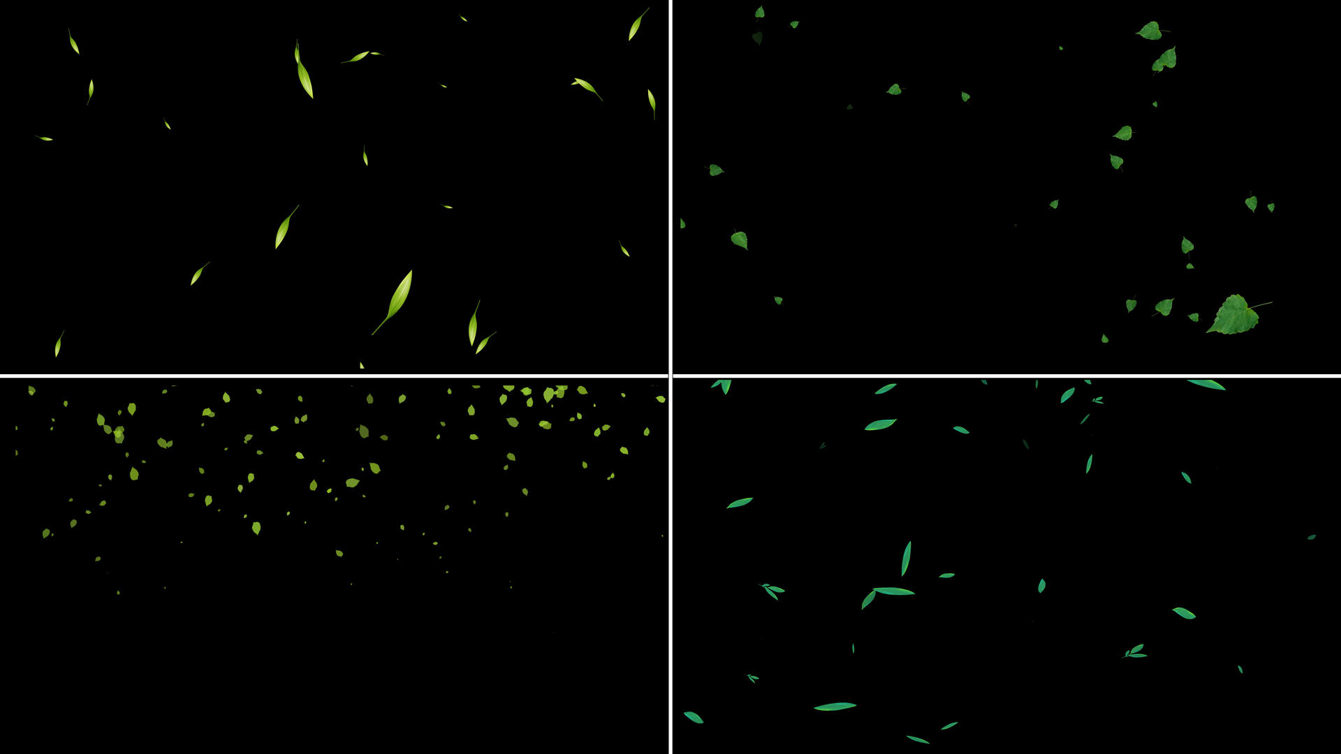 一组绿叶粒子漂浮动画视频的预览图