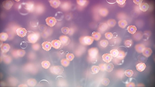 水泡花朵浮动粒子透明通道视频的预览图