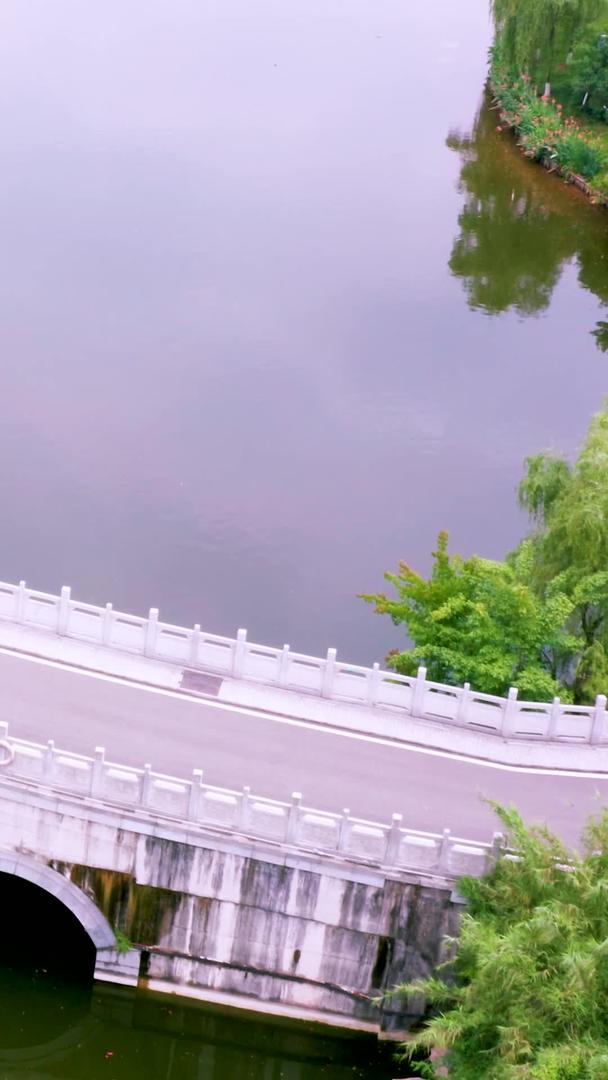重庆园博园航拍视频视频的预览图