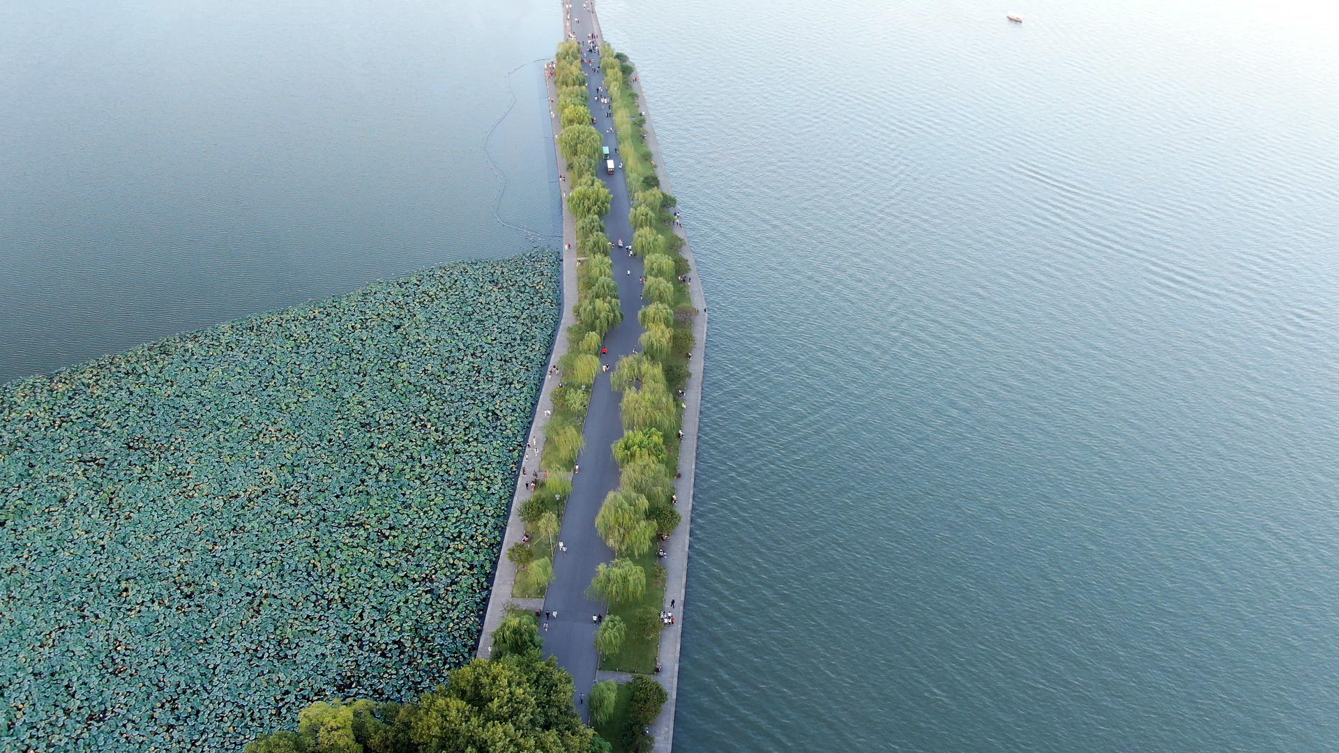 航拍杭州西湖白堤视频的预览图