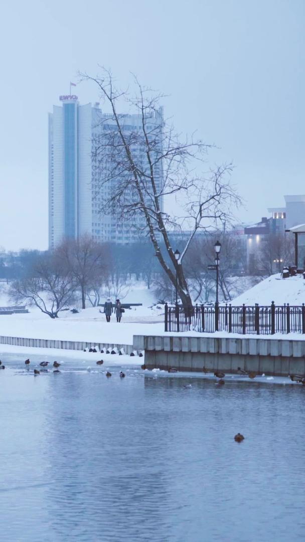 清晨朦胧天气湖泊河流积雪消融鸭子戏水视频的预览图