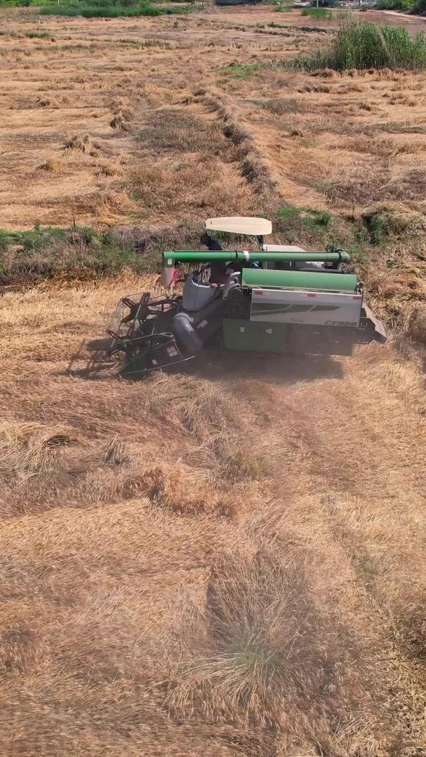 航拍农民在麦田收割麦子收割机视频的预览图