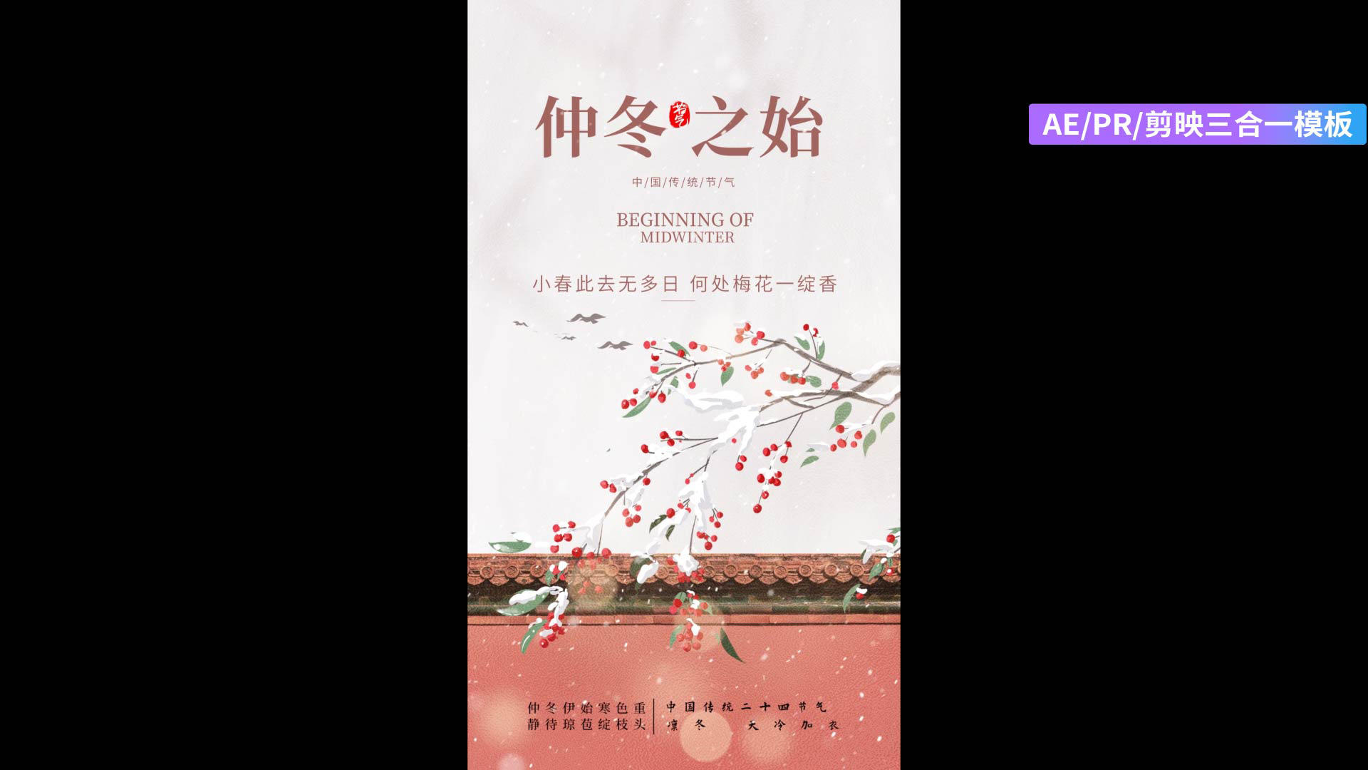 中国风优雅大雪节气海报AEPR剪影三合一模板视频的预览图