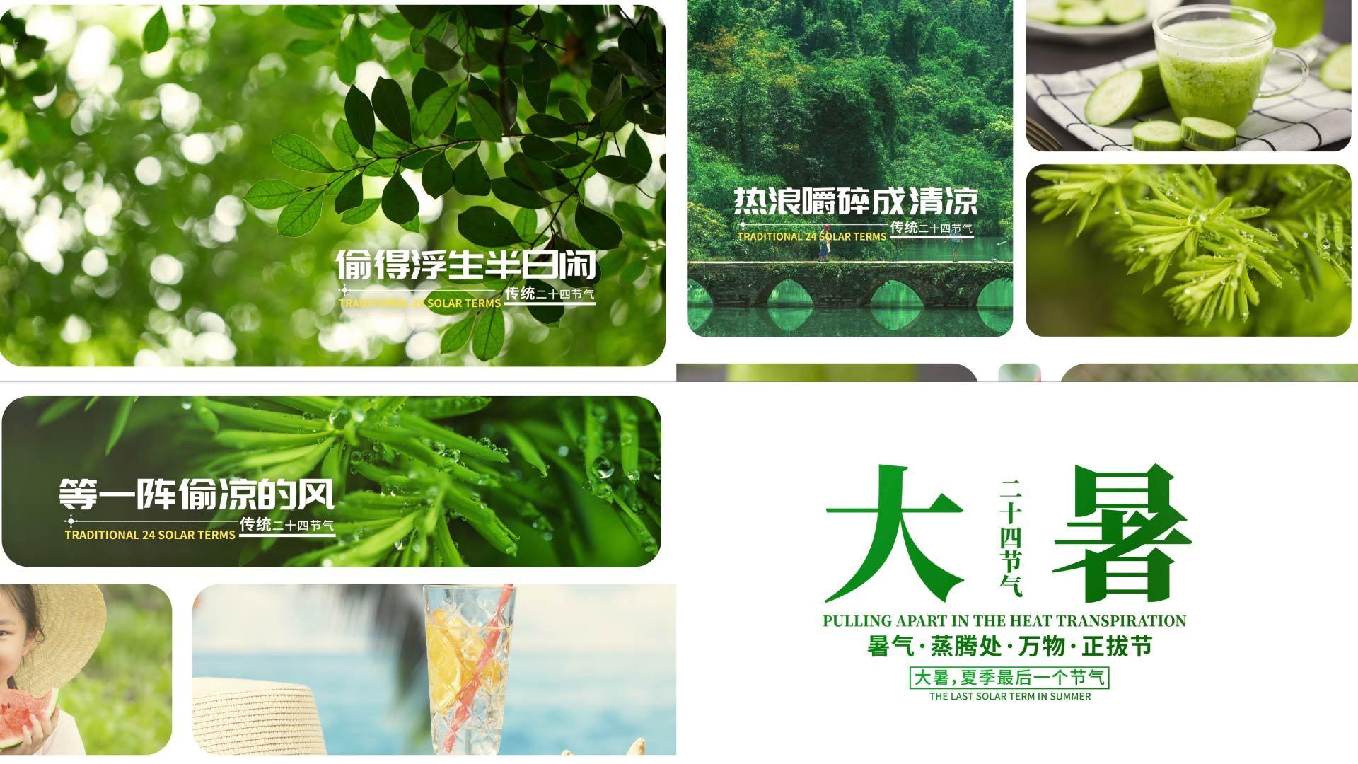 简洁清新大暑字幕片头AE模板视频的预览图