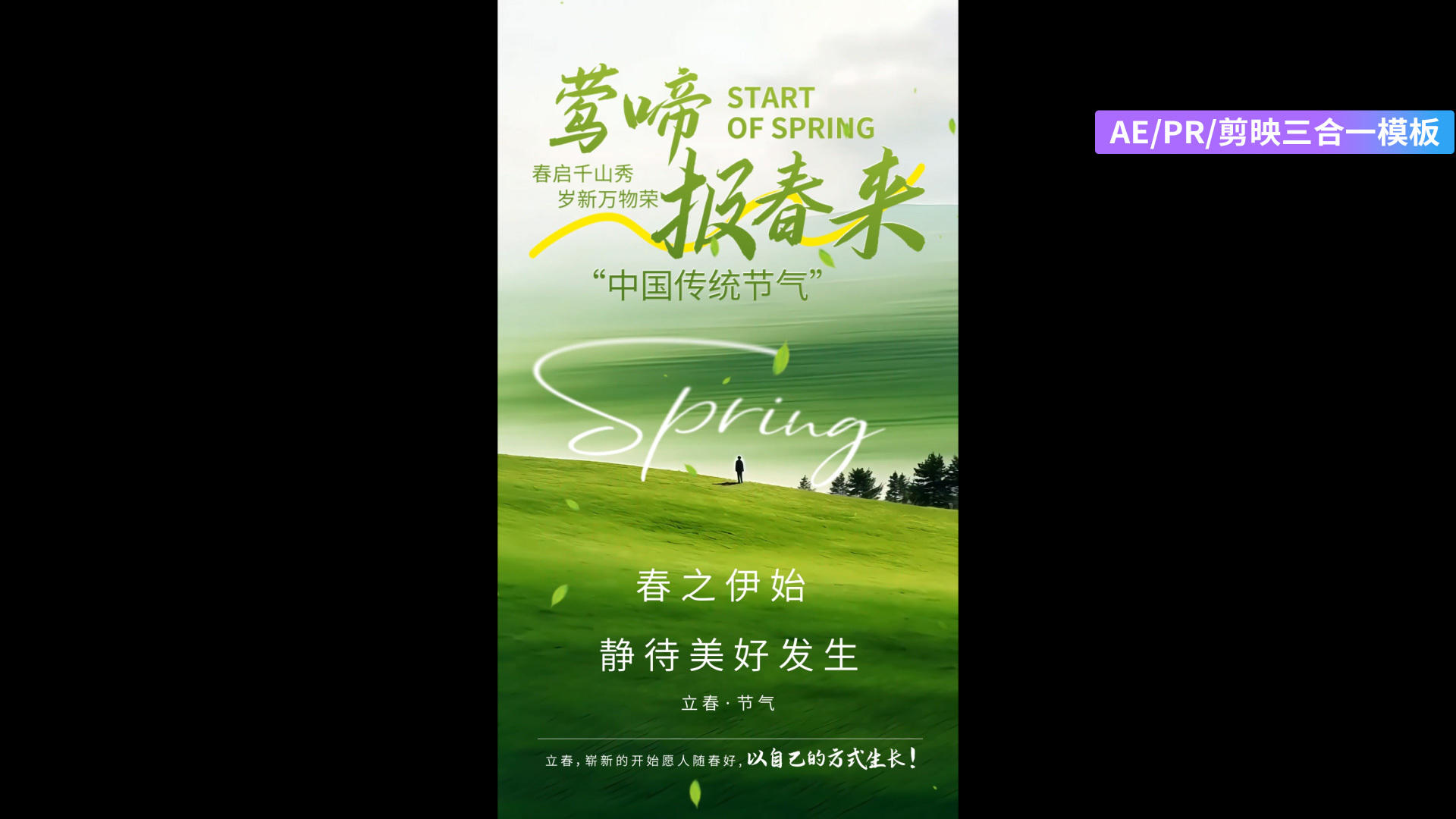 简洁清新立春节气片头垂直版AEPR剪影三合一模板视频的预览图