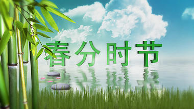 蓝色春分时节竹子节日AE模板视频的预览图