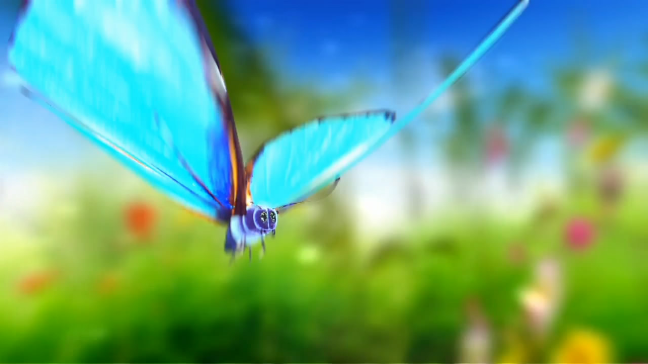 美丽蝴蝶演绎春分时节ae模板视频的预览图