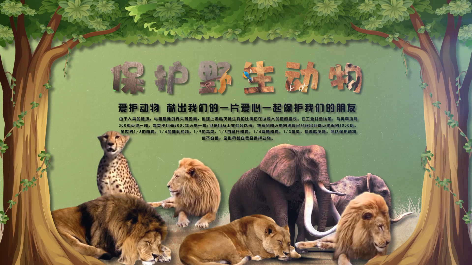 保护野生动物环保ae模板片头视频的预览图