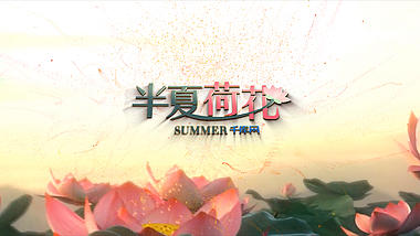 优雅中国风夏日荷花ae模板视频的预览图
