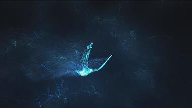 点线科幻飞鸟Logo动画视频的预览图