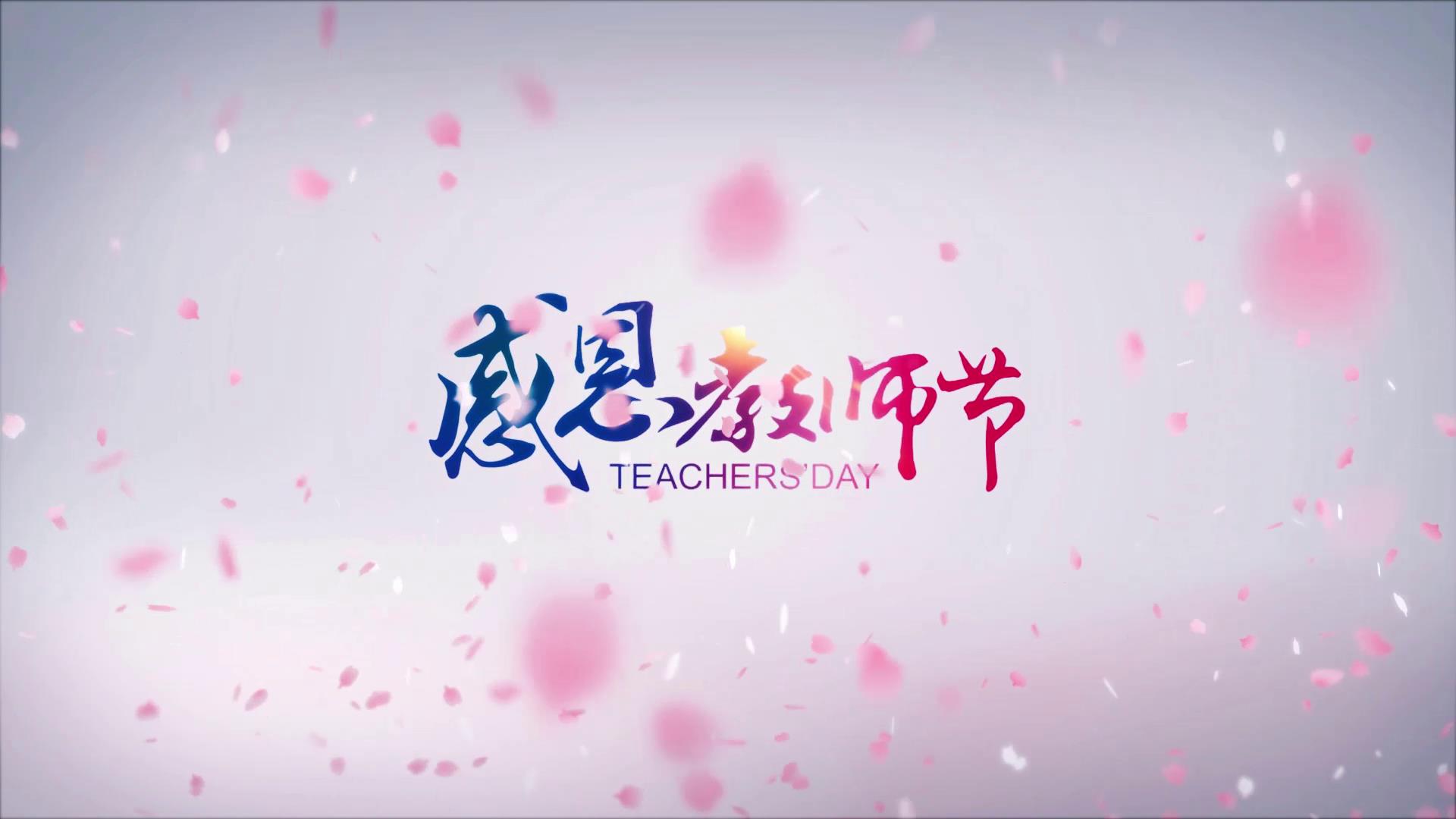 花瓣飞舞教师节片头AE模板视频的预览图