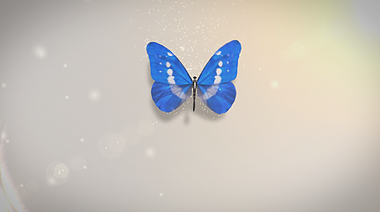 蝴蝶飞舞唯美简洁展示LOGO演绎视频的预览图