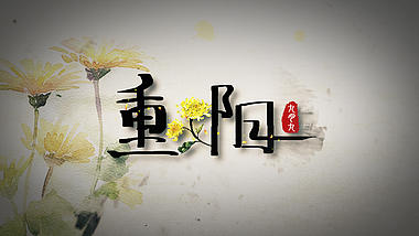 中国风水墨菊花重阳节宣传片头视频的预览图