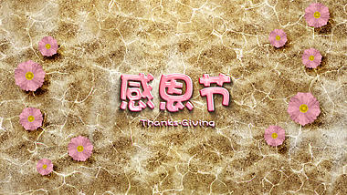 唯美蝴蝶飞舞花朵水面感恩节宣传片头视频的预览图