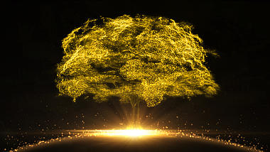 金色光线生长汇聚大树企业2019启动片头视频的预览图