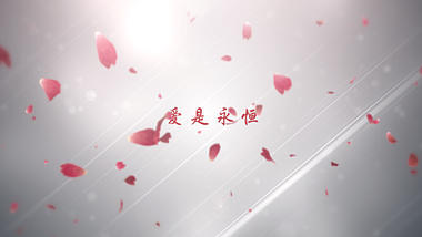 玫瑰花瓣飘散爱情表白宣言文字标题片头视频的预览图