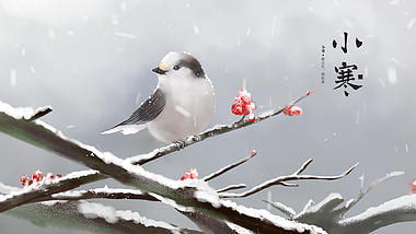 中国风水墨唯美下雪雀鸟小寒展示片头视频的预览图