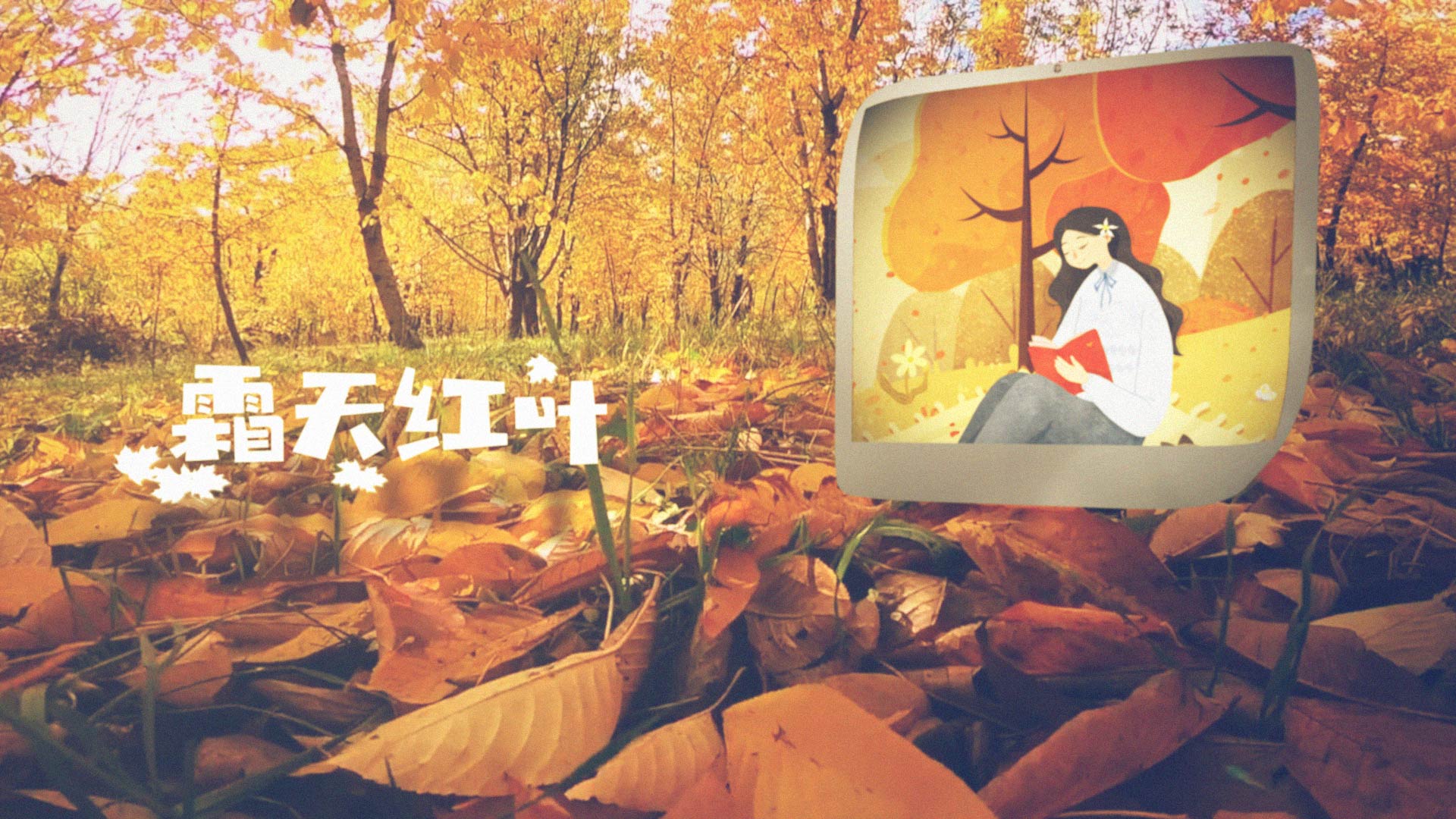 金色秋季图像展示写真相册AE模板视频的预览图