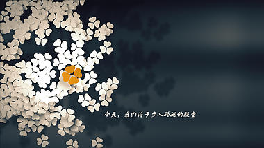 纯洁白色花朵温馨婚礼开场视频的预览图