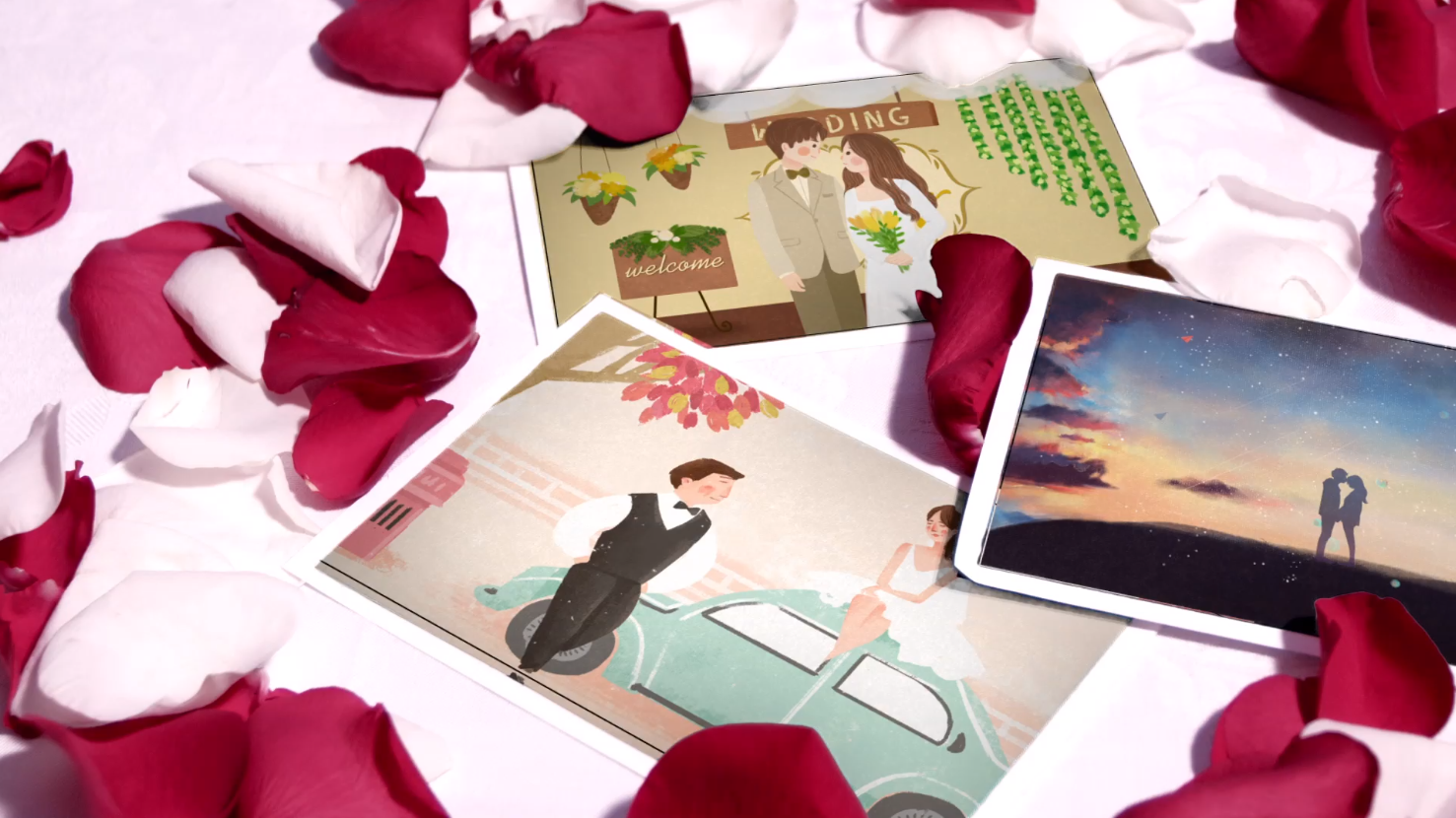 花瓣中的珍贵爱情婚礼相册ae模板视频的预览图